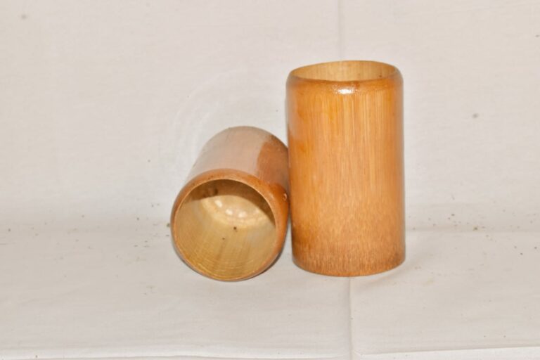 bamboo Glass (3)