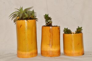 Wall  Hanging  Bomboo pots for Plants Indoor, Hanging pots for Plants Balcony. (Set of 3) - Image 2