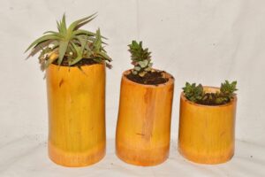 Wall  Hanging  Bomboo pots for Plants Indoor, Hanging pots for Plants Balcony. (Set of 3) - Image 3