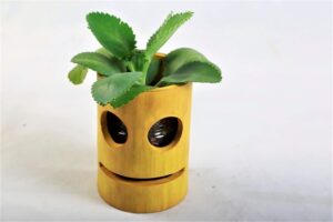 Smiley Table Top Planter Wall Hanging Bamboo pots for Plants,