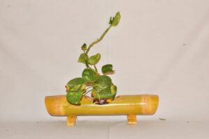 Watika Craft Bamboo for Garden Bamboo eco-Friendly Planter for pot