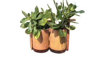 Watika Craft bamboo Pot Planter Dowble barrel Planter Eco-Friendly bamboo Planter - Image 3