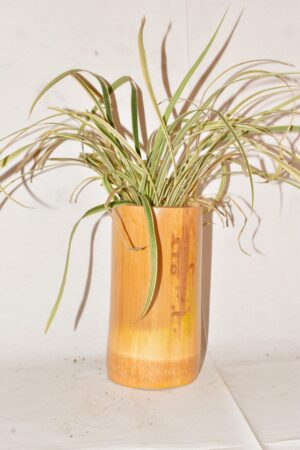 Table Hanging Planter Pot Bamboo Planter (Set of 2, 8 Inch Plant Pot) - Image 3