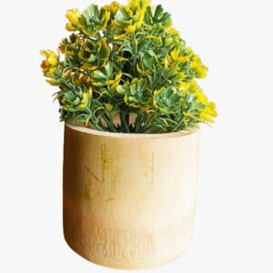 WATIKA CRAFT Table Top Bamboo Planter Table Top Planter (Set of 2) - Image 3