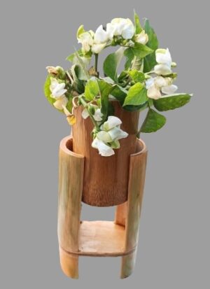 Vibrant Flower Vase Planter: Enhance Home Decor with Colorful Blooms in a Stylish, Eye-Catching Desig