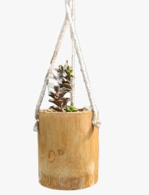 Tyre Wall Hanging Bamboo Pots for Plants Perfect for Indoor