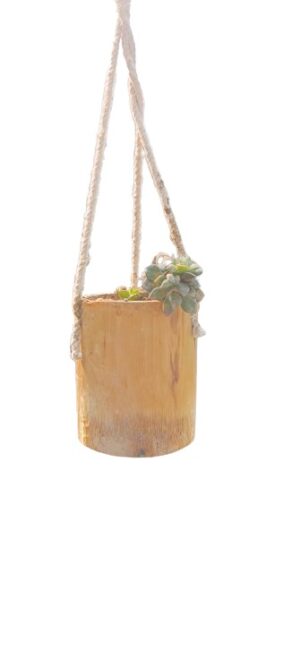 Tyre Wall Hanging Bamboo Pots for Plants Perfect for Indoor - Image 3