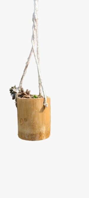 Tyre Wall Hanging Bamboo Pots for Plants Perfect for Indoor - Image 2