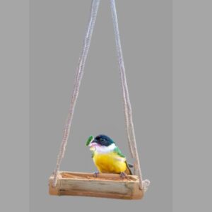 Bird Feeding Pot A Wholesome Treat for Feathered Visitors in Your Garden Bamboo Bird Feeding Container - Image 4