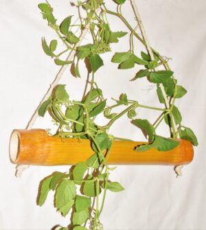 Wall Hanging Bamboo Planter Hanging Pot Planter - Image 3