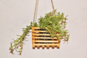 Wall Hanging Eco Friendly Bamboo Pot  Planter