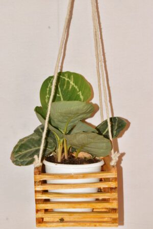 Wall Hanging Eco Friendly Bamboo Pot  Planter - Image 3