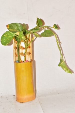 Table Hanging Planter Pot Bamboo Planter Eco frienndly Bamboo Planter Durable and Stylish Bamboo Planters (Stick Pot) - Image 2