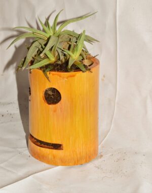 Smiley Table Top Planter Wall Hanging Bamboo pots for Plants, - Image 4