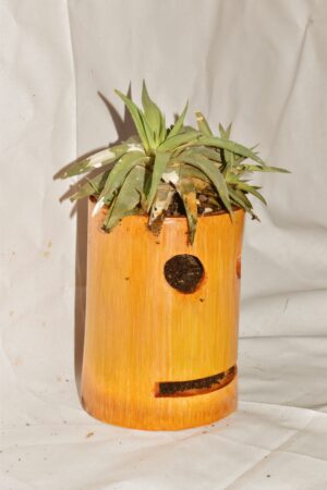 Smiley Table Top Planter Wall Hanging Bamboo pots for Plants, - Image 2