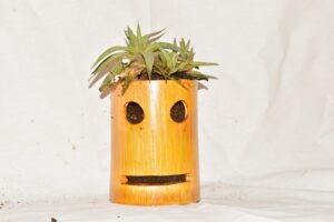 Smiley Table Top Planter Wall Hanging Bamboo pots for Plants, - Image 5