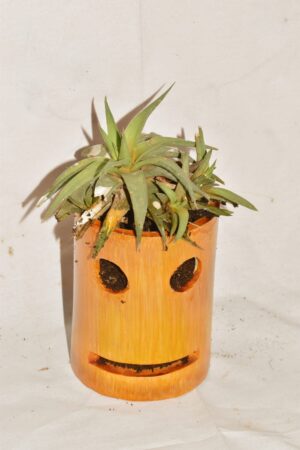 Smiley Table Top Planter Wall Hanging Bamboo pots for Plants, - Image 3