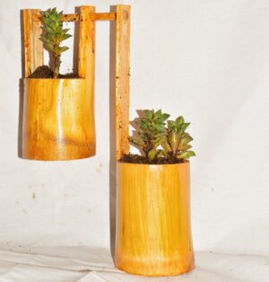 Wall Hanging Bamboo pots for Plants, Natural Bamboo Planter.