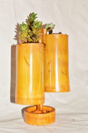 Wall Hanging Bamboo pots for Plants Eco-friendly Pot for Plant - Image 3