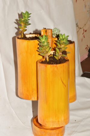 Wall Hanging Bamboo pots for Plants Eco-friendly Pot for Plant