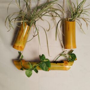 Wall Hanging Bamboo pots for Plants,  (Vartical Planter Set of 3) - Image 3