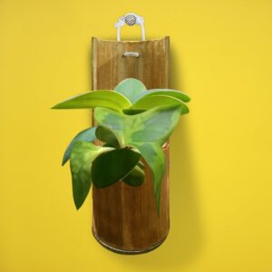 Watika Craft HandCrafted Hanging Bamboo Planter - Natural Handmade Bamboo Planter - Wooden Bamboo Container - Ideal for Home, Office & Garden Decor - Image 3