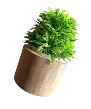 WATIKA CRAFT Bamboo Planter Table Top Bamboo Planter Planter for Succelent Plants Eco - Friendly Bamboo Planter - Image 2