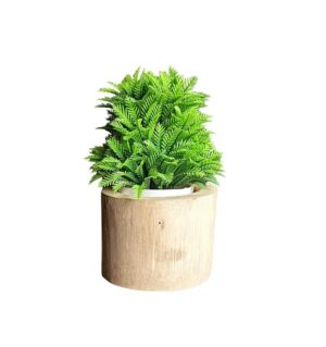 WATIKA CRAFT Bamboo Planter Table Top Bamboo Planter Planter for Succelent Plants Eco - Friendly Bamboo Planter - Image 3