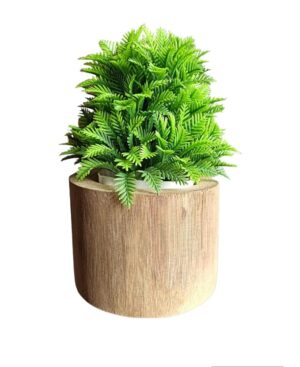 WATIKA CRAFT Bamboo Planter Table Top Bamboo Planter Planter for Succelent Plants Eco - Friendly Bamboo Planter