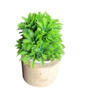 WATIKA CRAFT Bamboo Planter Table Top Bamboo Planter Planter for Succelent Plants Eco - Friendly Bamboo Planter - Image 4