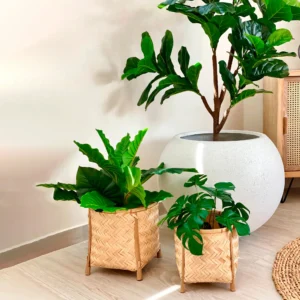 Watika Craft Wood Plant Pot for Home Eco-friendly Planter ( pack of 1 ) - Image 3