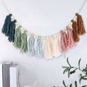 Watika Craft Jonaki Tassel Yarn tassel For wall decor yarn tassel Wool taasel Multi colour