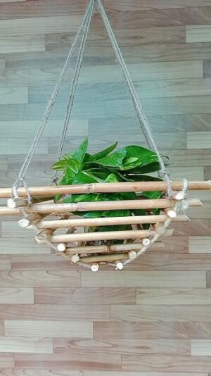 Watika Craft celling Hanging Bamboo stick Planter  Eco-Friendly Planter